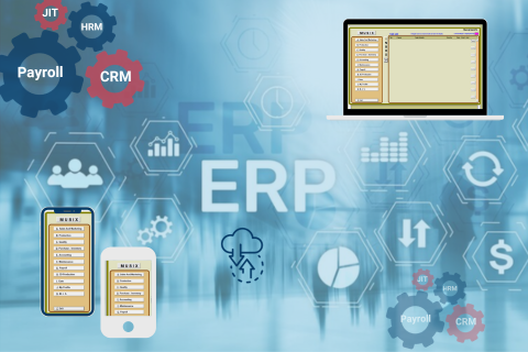 Users Software System ERP Solution Company